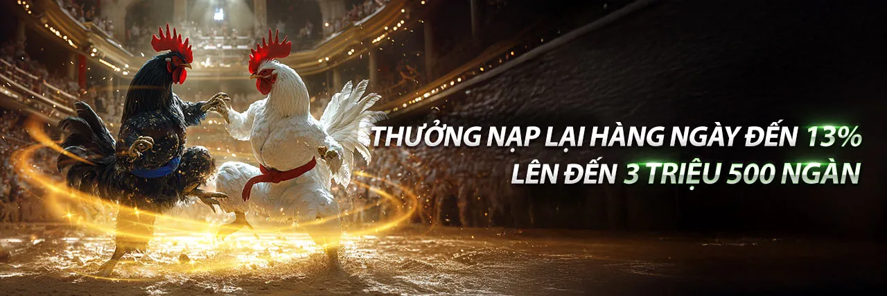 Hình ảnh sân vận động với các hoạt động cá cược thể thao sôi động tại 23win nổ hũ