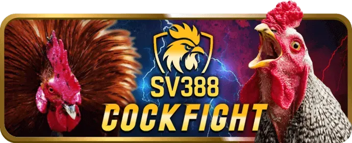 Biện pháp bảo mật dữ liệu của 23win nổ hũ